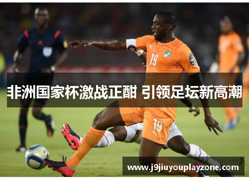 非洲国家杯激战正酣 引领足坛新高潮